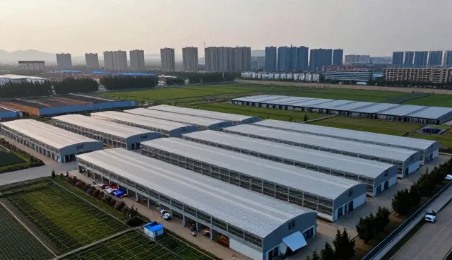 技术外包中性能优化的实践路径与维护要点
